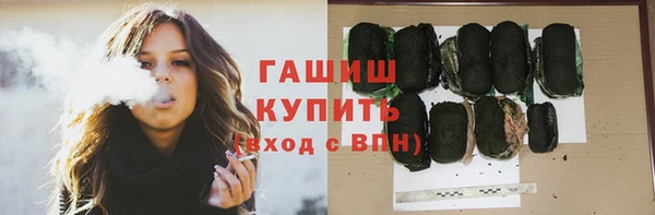 прущие грибы Наволоки