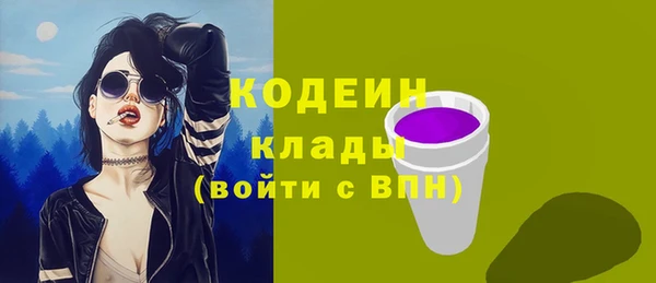 стафф Анжеро-Судженск