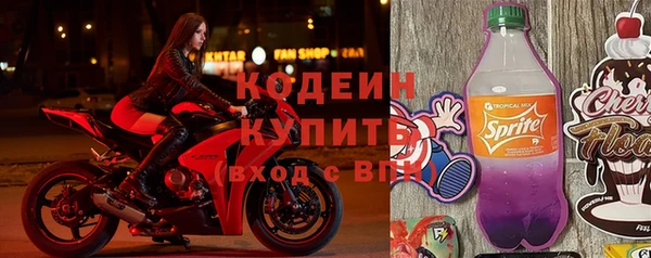прущие грибы Наволоки