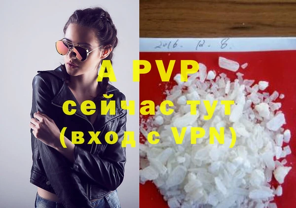 прущие грибы Наволоки