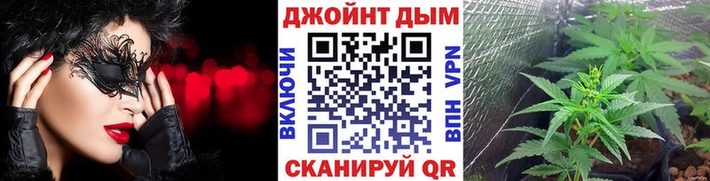 где найти наркотики  Юхнов  Бошки Шишки сатива 